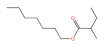Heptyl 2-methylbutanoate